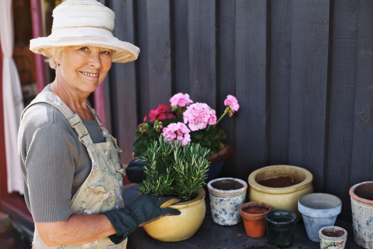 Active senior woman potting some plants in terracotta pots on a counter in backyard. Senior female gardener planting flowers in pots
